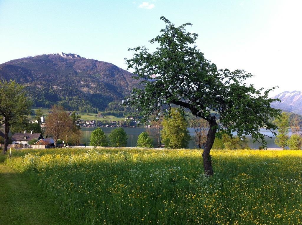 Appartamento Haus Schoenblick Strobl Esterno foto